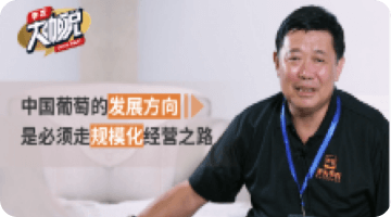 中国普通的发展方向 是必须走规模化经营之路