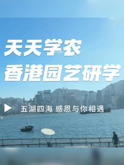 与香港园艺学会联合举办香港园艺研学，专业园境师带队讲解。